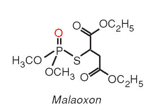Malaoxon